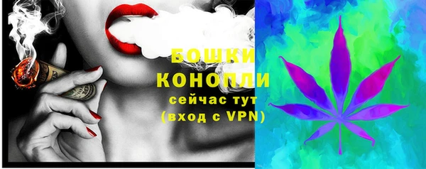 ПСИЛОЦИБИНОВЫЕ ГРИБЫ Нея