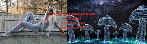 mdma Новодвинск