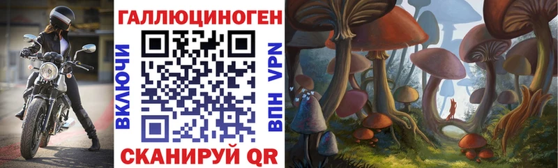 Псилоцибиновые грибы GOLDEN TEACHER  Невельск 