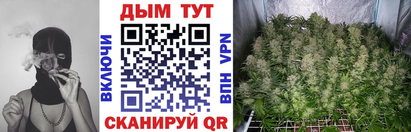 Конопля гибрид  Невельск 